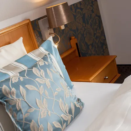 莱斯酒店 布里隆